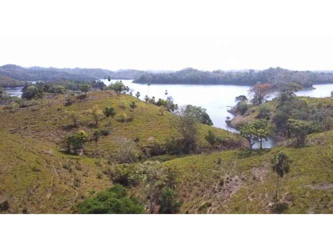 TERRENO / CHEPO / BAYANO / 6 HECTAREAS / SUPERFICIE PLANA / INVERSIÓN