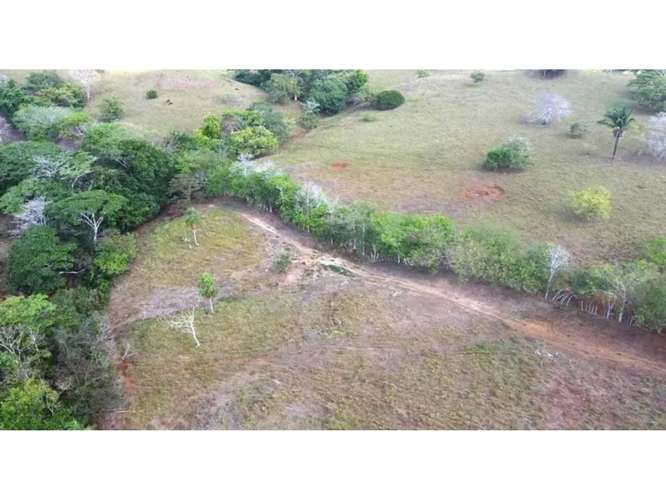 TERRENO / CHEPO / BAYANO / 6 HECTAREAS / SUPERFICIE PLANA / INVERSIÓN