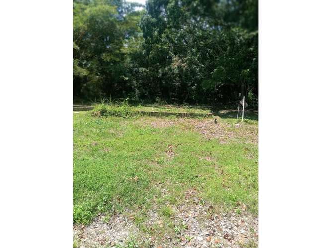 SE VENDE CASA 8.7 HECTAREAS EN CAPIRA CAMPANA CON PISCINA Y JACUZZI - Imagen 9