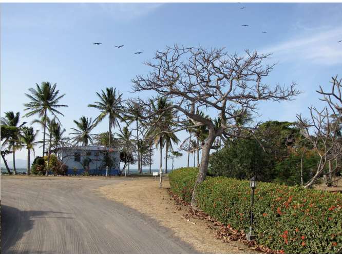 PUNTA CHAME / 9,381 M2 / TERRENO / FRENTE AL MAR / VISTAS A LA PLAYA - Imagen 12