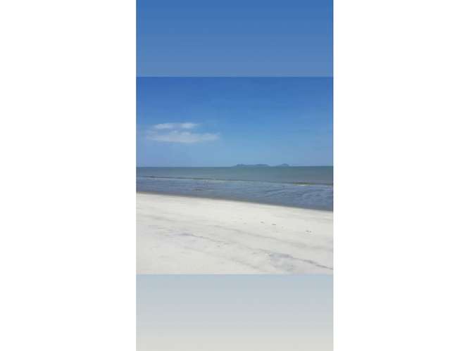 PUNTA CHAME / 9,381 M2 / TERRENO / FRENTE AL MAR / VISTAS A LA PLAYA - Imagen 13