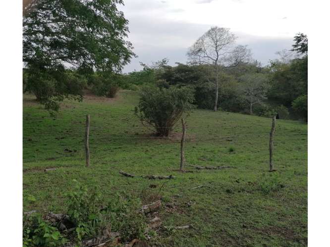 SE VENDE TERRENO AMPLIO 2.3 HECTAREAS EN SAN CARLOS PLAYA LOS PANAMA