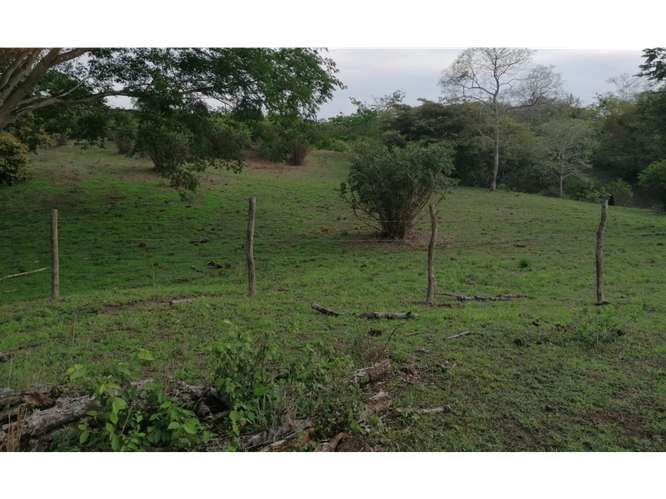 SE VENDE TERRENO AMPLIO 2.3 HECTAREAS EN SAN CARLOS PLAYA LOS PANAMA