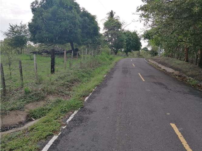 SAN CARLOS / PLAYA LOS PANAMA / 2.3 HECTAREAS / TERRENO / FACIL ACCESO