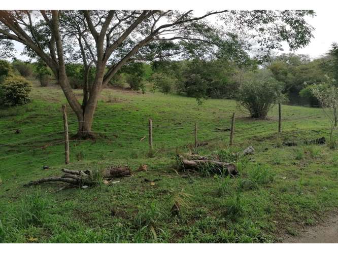 SAN CARLOS / PLAYA LOS PANAMA / 2.3 HECTAREAS / TERRENO / FACIL ACCESO