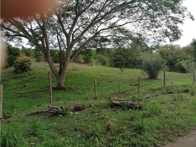 SAN CARLOS / PLAYA LOS PANAMA / 2.3 HECTAREAS / TERRENO / FACIL ACCESO