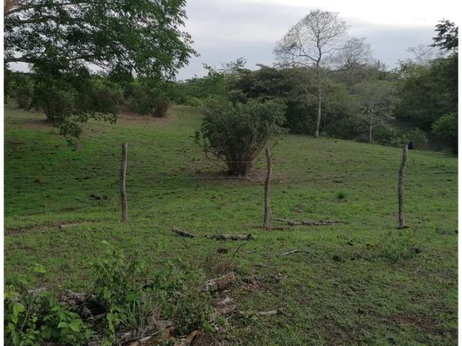 SAN CARLOS / PLAYA LOS PANAMA / 2.3 HECTAREAS / TERRENO / FACIL ACCESO