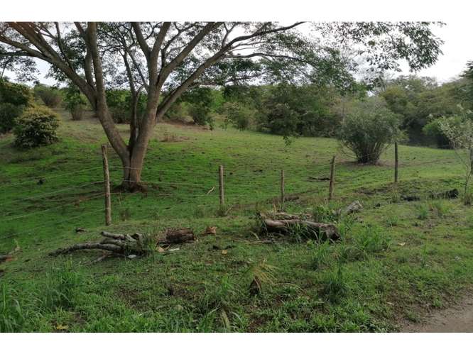 SAN CARLOS / PLAYA LOS PANAMA / 2.3 HECTAREAS / TERRENO / FACIL ACCESO