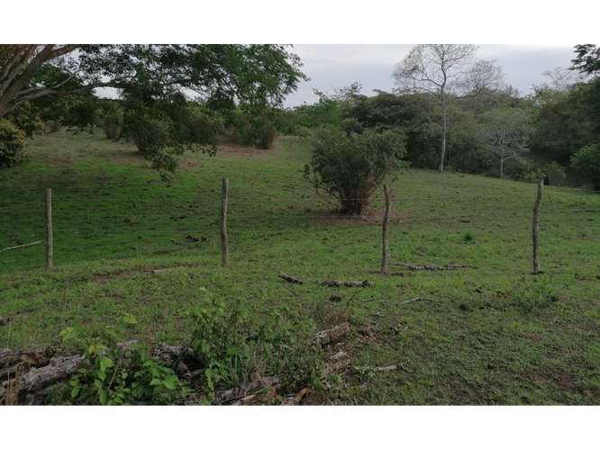 SAN CARLOS / PLAYA LOS PANAMA / 2.3 HECTAREAS / TERRENO / FACIL ACCESO