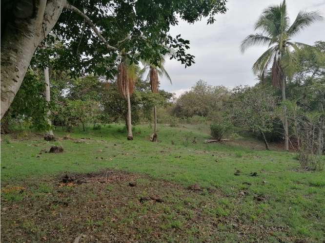SAN CARLOS / PLAYA LOS PANAMA / 2.3 HECTAREAS / TERRENO / FACIL ACCESO