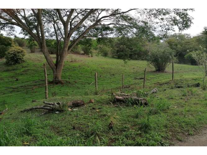 SAN CARLOS / PLAYA LOS PANAMA / 2.3 HECTAREAS / TERRENO / FACIL ACCESO