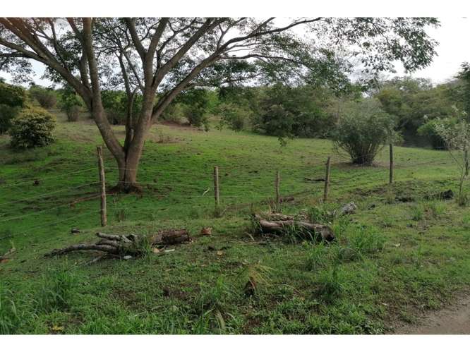 SAN CARLOS / PLAYA LOS PANAMA / 2.3 HECTAREAS / TERRENO / FACIL ACCESO