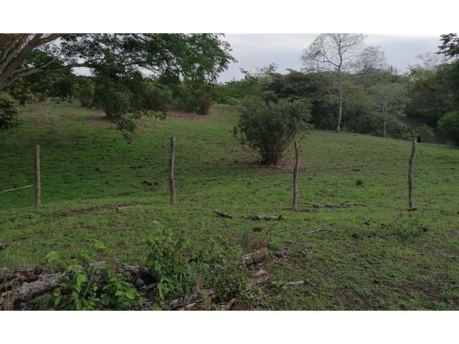 SAN CARLOS / PLAYA LOS PANAMA / 2.3 HECTAREAS / TERRENO / FACIL ACCESO