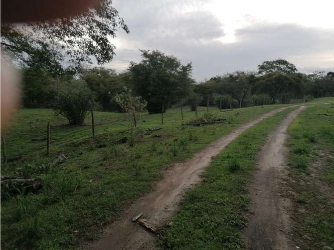 SAN CARLOS / PLAYA LOS PANAMA / 2.3 HECTAREAS / TERRENO / FACIL ACCESO