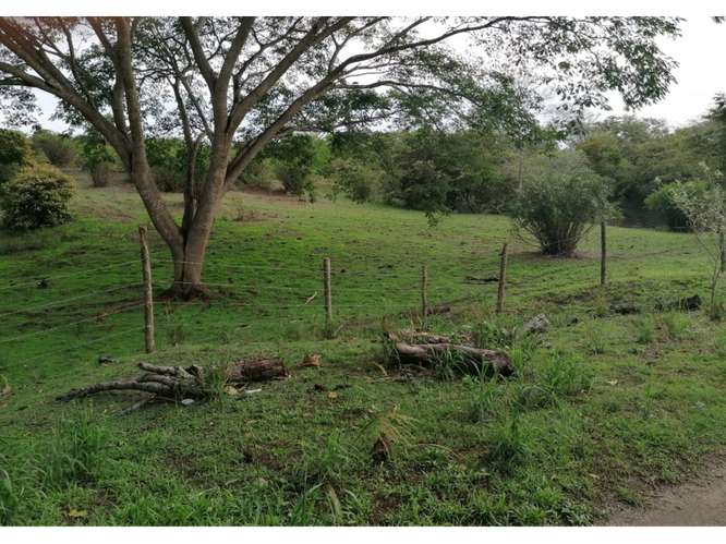 SAN CARLOS / PLAYA LOS PANAMA / 2.3 HECTAREAS / TERRENO / FACIL ACCESO
