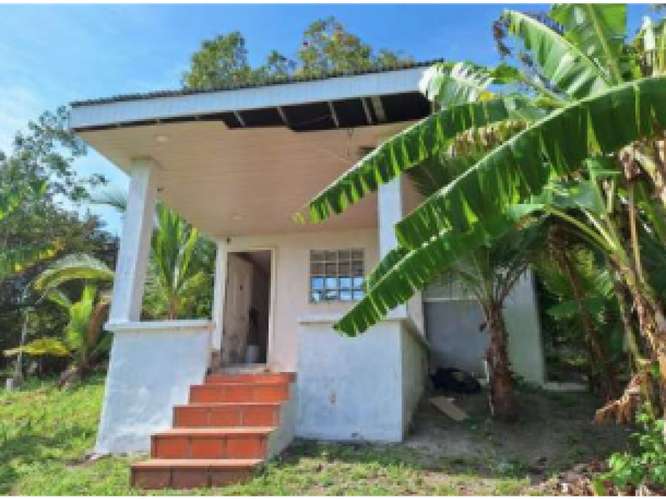 SAN CARLOS / TERRENO / 10433 M2 / CASA OBRA GRIS / CALLE ASFALTADA