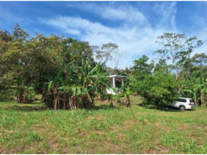 SAN CARLOS / TERRENO / 10433 M2 / CASA OBRA GRIS / CALLE ASFALTADA