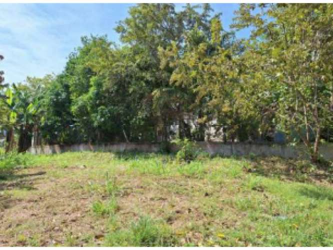 SAN CARLOS / TERRENO / 10433 M2 / CASA OBRA GRIS / CALLE ASFALTADA - Imagen 7