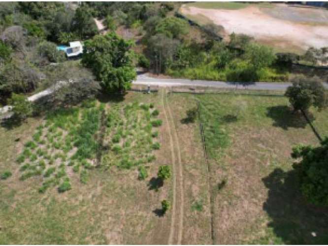 SAN CARLOS / TERRENO / 10433 M2 / CASA OBRA GRIS / CALLE ASFALTADA - Imagen 16