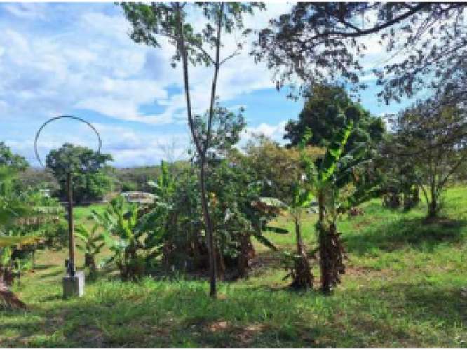 SAN CARLOS / TERRENO / 10433 M2 / CASA OBRA GRIS / CALLE ASFALTADA - Imagen 12