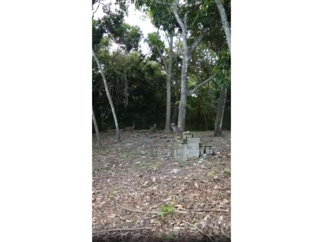 SE VENDE TERRENO 600 M2 EN SAN CARLOS LAS UVAS SOBRE VIA PRINCIPAL