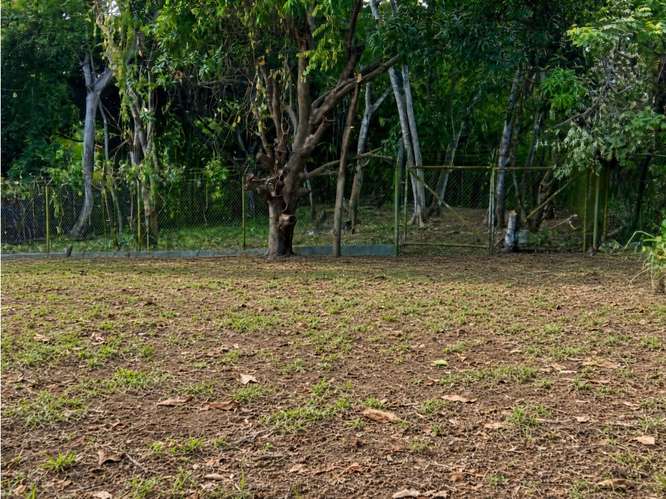 SE VENDE TERRENO 600 M2 EN SAN CARLOS LAS UVAS SOBRE VIA PRINCIPAL