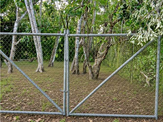 SE VENDE TERRENO 600 M2 EN SAN CARLOS LAS UVAS SOBRE VIA PRINCIPAL