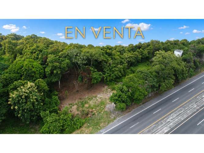 SE VENDE TERRENO 600 M2 EN SAN CARLOS LAS UVAS SOBRE VIA PRINCIPAL