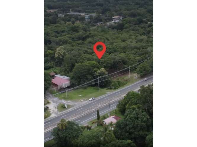 SAN CARLOS / LAS UVAS / 600 M2 / TERRENO PLANO / SOBRE VIA PRINCIPAL - Imagen 6