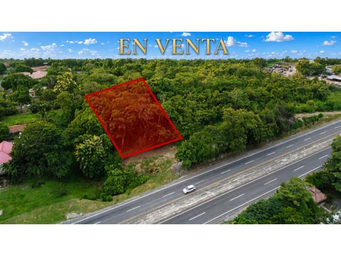 SAN CARLOS / LAS UVAS / 600 M2 / TERRENO PLANO / SOBRE VIA PRINCIPAL