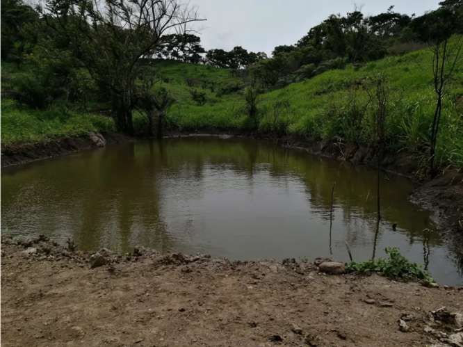 SE VENDE FINCA 88 HECTAREAS EN CAPIRA CERMEÑO  5 LAGOS Y ZONAS VERDES - Imagen 8