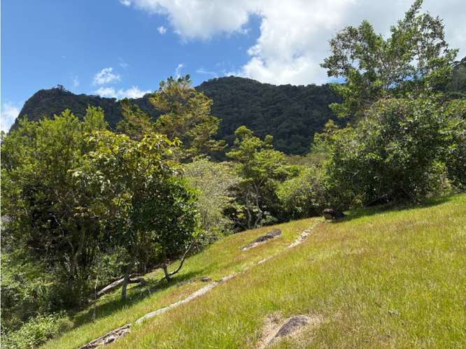 TERRENO DE MONTAÑA  VISTA AL MAR y RIO  / CAPIRA / CAMPANA / 5467M - Imagen 19