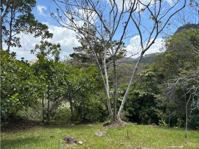 TERRENO DE MONTAÑA  VISTA AL MAR y RIO  / CAPIRA / CAMPANA / 5467M - Imagen 9