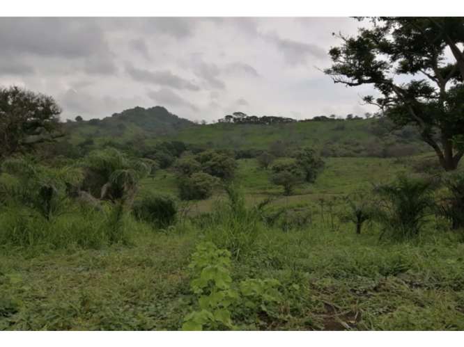 CAPIRA / CERMEÑO / FINCA / 88 HECTAREAS / 5 LAGOS / ZONAS VERDES - Imagen 20