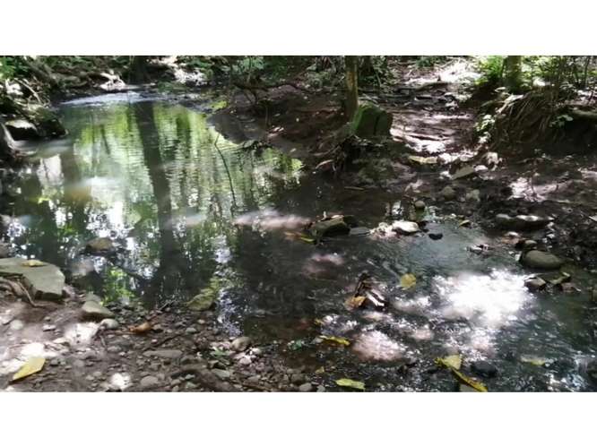 CAPIRA / CERMEÑO / FINCA / 88 HECTAREAS / 5 LAGOS / ZONAS VERDES - Imagen 5