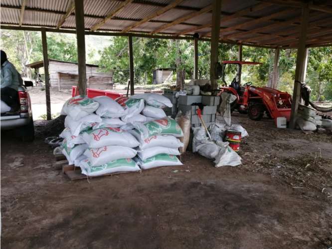 CAPIRA / CERMEÑO / FINCA / 88 HECTAREAS / 5 LAGOS / ZONAS VERDES - Imagen 10