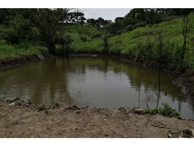 CAPIRA / CERMEÑO / FINCA / 88 HECTAREAS / 5 LAGOS / ZONAS VERDES - Imagen 3