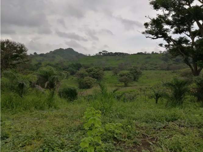 CAPIRA / CERMEÑO / FINCA / 88 HECTAREAS / 5 LAGOS / ZONAS VERDES - Imagen 2