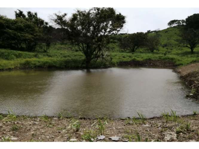 CAPIRA / CERMEÑO / FINCA / 88 HECTAREAS / 5 LAGOS / ZONAS VERDES - Imagen 19
