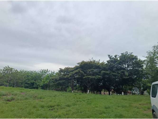 CHAME / SORA / 1.65 HECTAREAS / TERRENO / CABAÑA / ZONAS VERDES - Imagen 2