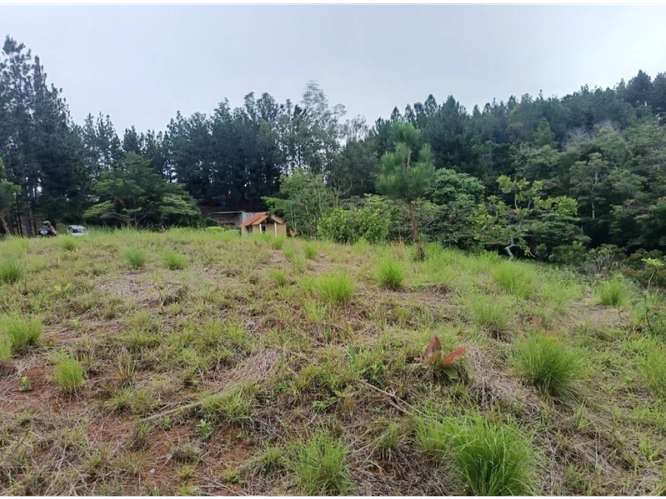 CHAME / SORA / 1.65 HECTAREAS / TERRENO / CABAÑA / ZONAS VERDES