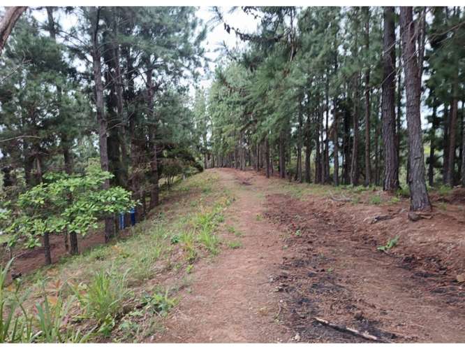CHAME / SORA / 1.65 HECTAREAS / TERRENO / CABAÑA / ZONAS VERDES - Imagen 16