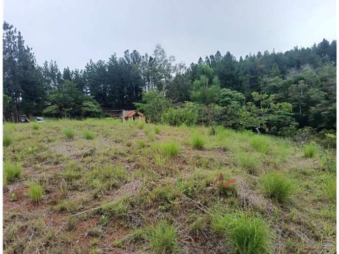 CHAME / SORA / 1.65 HECTAREAS / TERRENO / CABAÑA / ZONAS VERDES - Imagen 17
