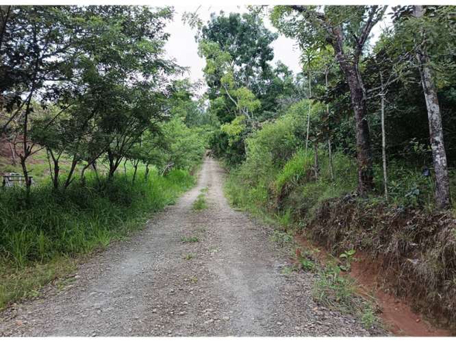 CHAME / SORA / 1.65 HECTAREAS / TERRENO / CABAÑA / ZONAS VERDES - Imagen 11