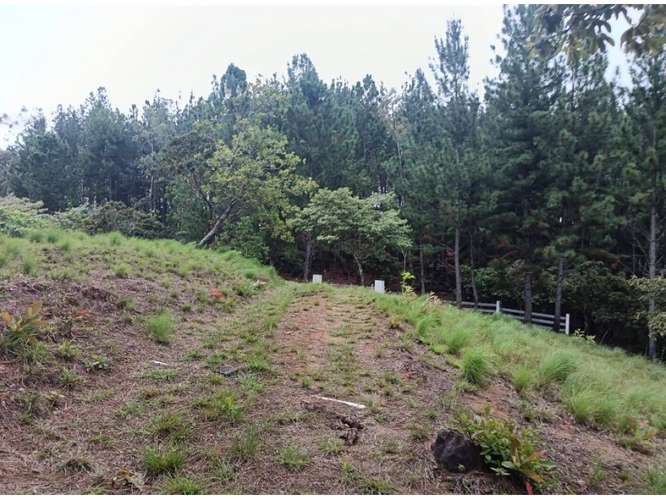 CHAME / SORA / 1.65 HECTAREAS / TERRENO / CABAÑA / ZONAS VERDES - Imagen 15