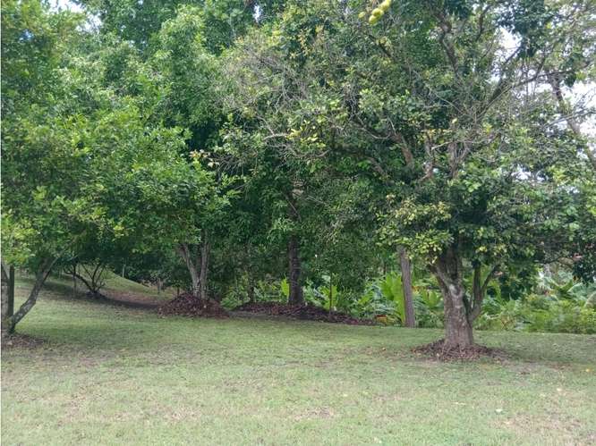 FINCA / SAN CARLOS / PLAYA GRANDE / 17000M / CASA 2 PISO / PISCINA /JC - Imagen 15