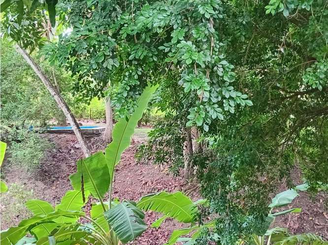 FINCA / SAN CARLOS / PLAYA GRANDE / 17000M / CASA 2 PISO / PISCINA /JC - Imagen 20