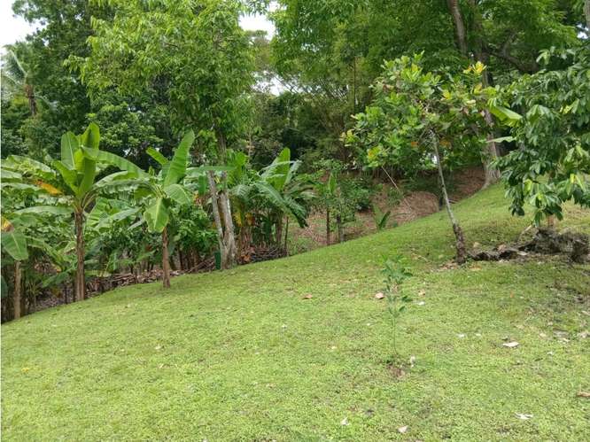 FINCA / SAN CARLOS / PLAYA GRANDE / 17000M / CASA 2 PISO / PISCINA /JC - Imagen 16