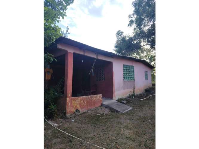SE VENDE TERRENO 1021M EN COCLE RIO HATO  CON CASA Y ZONAS VERDES - Imagen 13