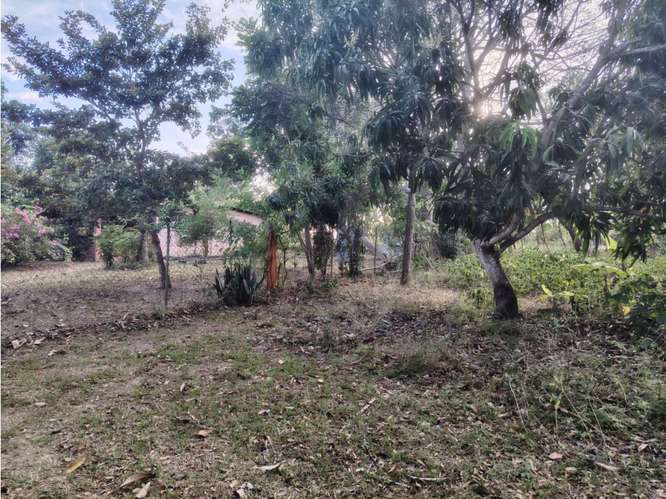 SE VENDE TERRENO 1021M EN COCLE RIO HATO  CON CASA Y ZONAS VERDES - Imagen 10